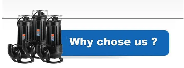 Vertical Cooper Wire Non-Clogging Centrifugal Fecal Cutter Submersible Sewage Water Pump