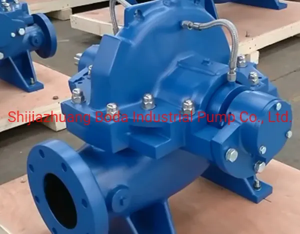 Vertical Split Casing Double Suction Water Centrifugal Pump