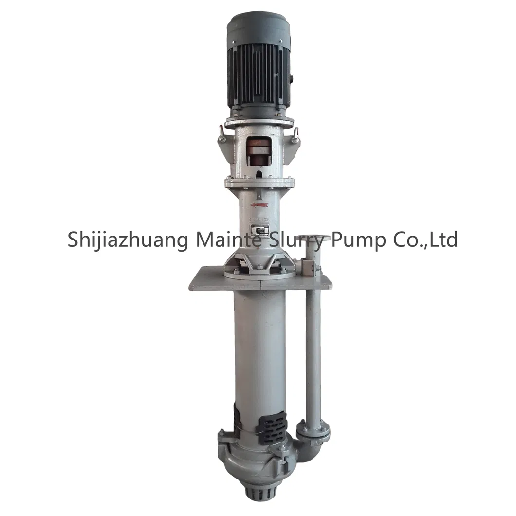 Vertical Sump Slurry Pump Use Mining Processing