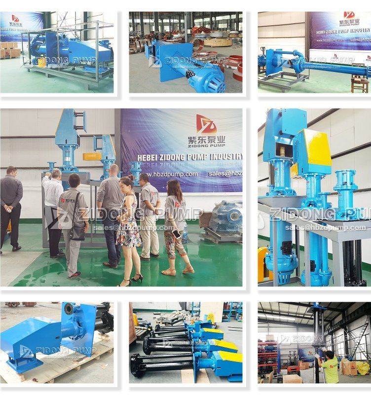 Vertical Water Powered Backup Sump Slurry Pump