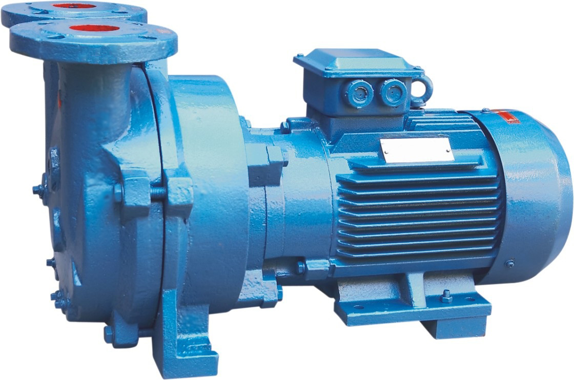 Water Ring Vacuum Pump ( 2BV )