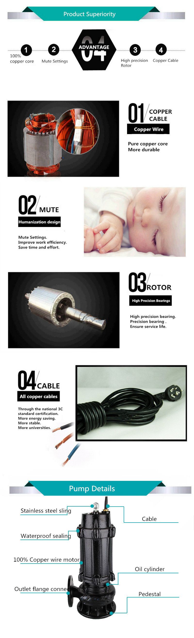 Wq Sewage Treatment Low-Lift Large Flow Submersible Ewage Pump