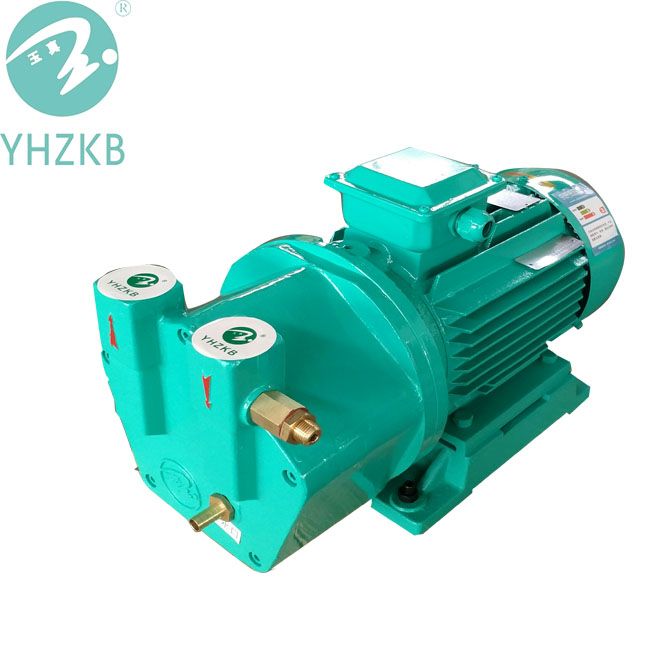 Yhzkb Liquid Ring Vacuum Pump for Sterilization