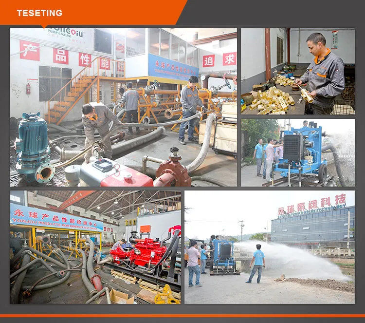 Yonjou Belt Driven Water Pump