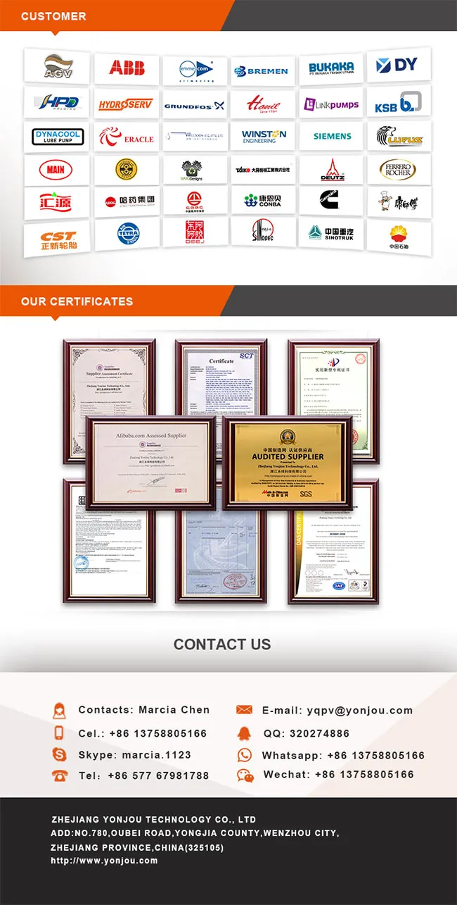 Yonjou Olive Oil Gear Pump